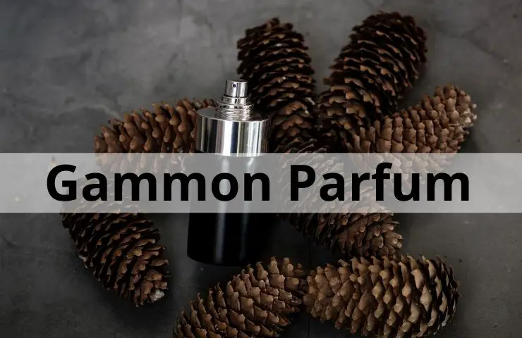 Gammon Parfum: Ein luxuriöses Eau De Performance für Herren