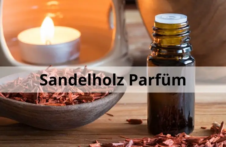Sandelholz Parfüm: Die 5 besten Sandelholz Düfte